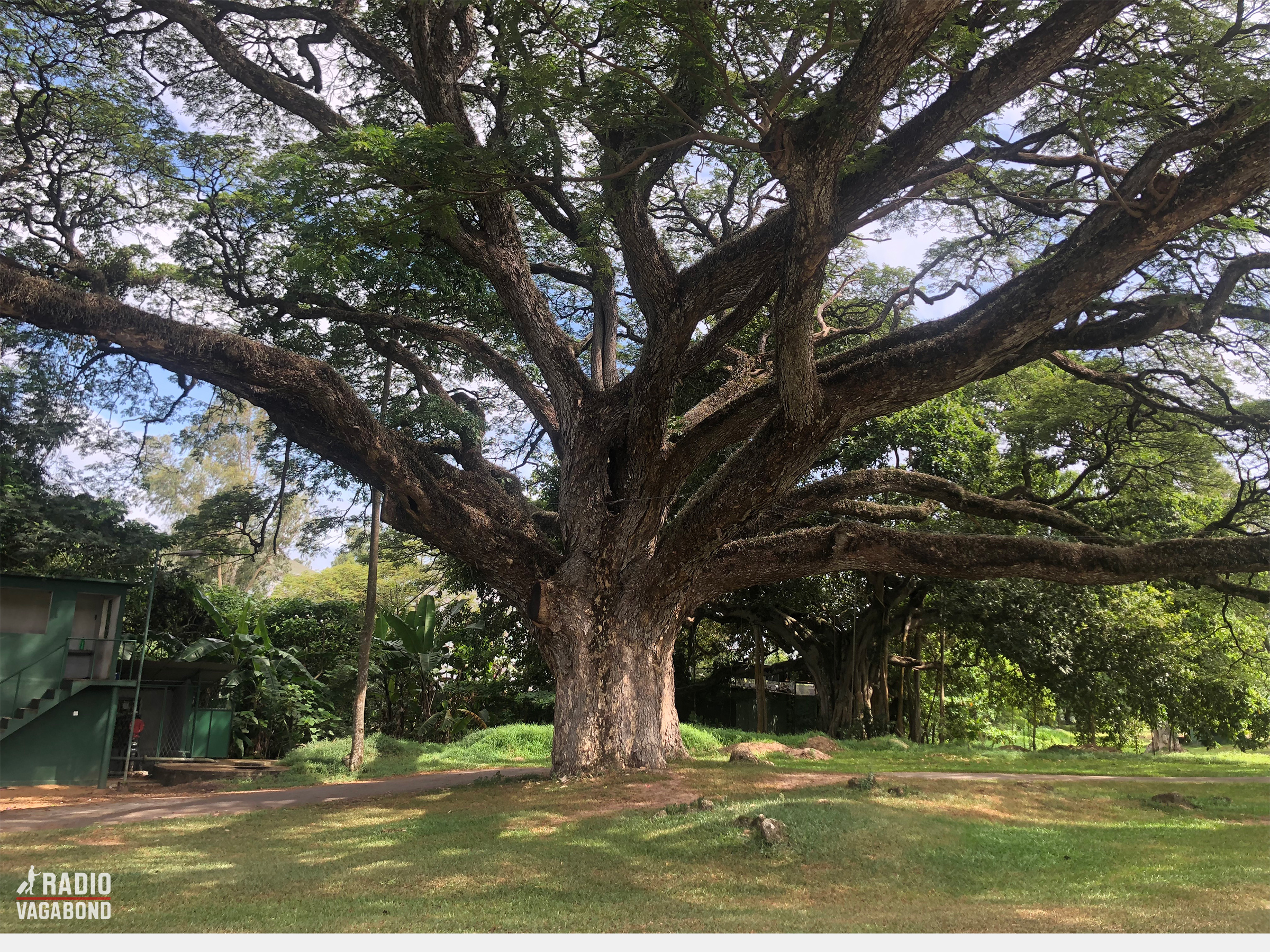 Royal Colombo Golf Club