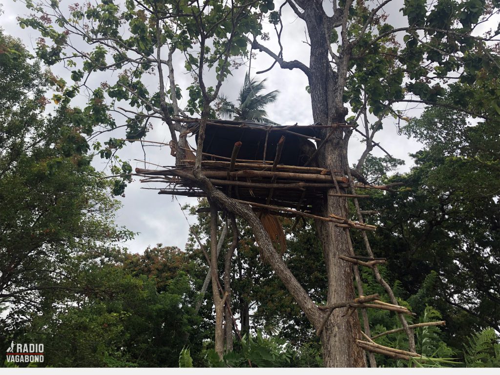 On the way, we saw a tree hut, used for keeping guard at night and scaring animals that might away with firecrackers and drums.