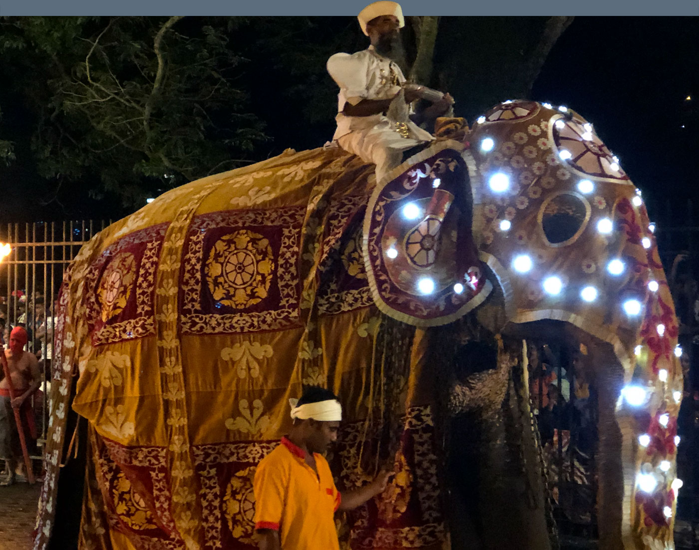 Sri Lanka Elephant Parade
