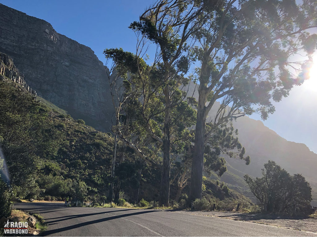 Table Mountain view