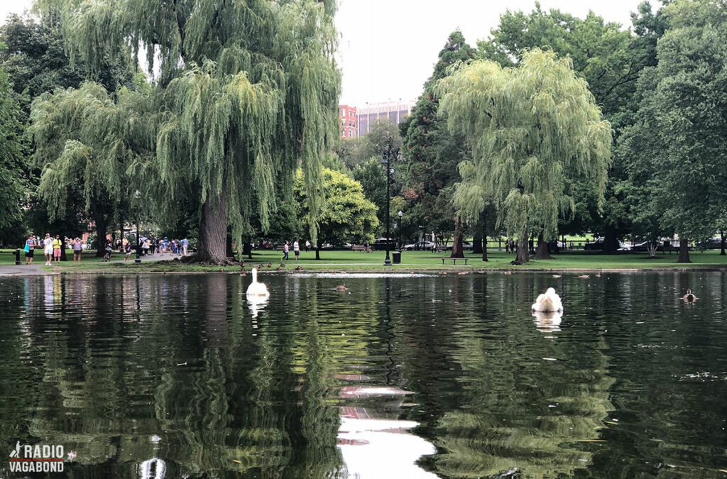 Boston have the oldest public park in the USA. It's called Boston Common and was established in 1634.