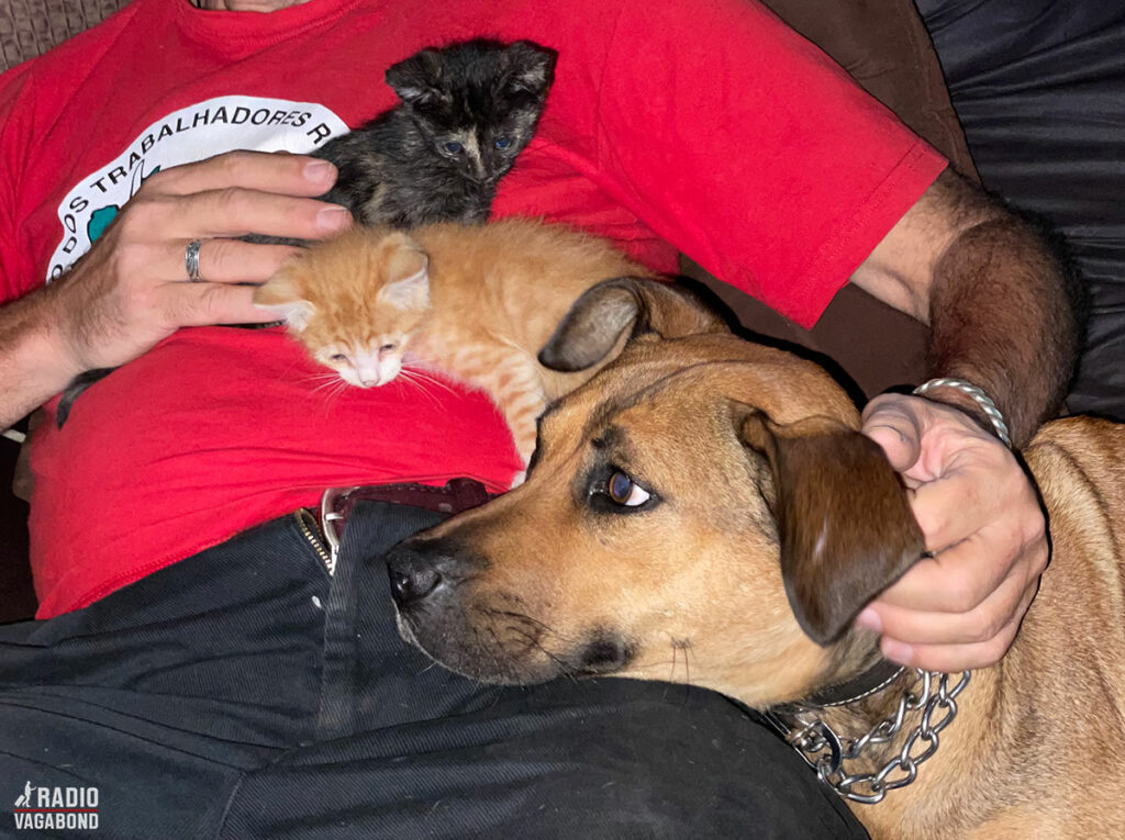 Andrés has three pets in Casa Catzij.