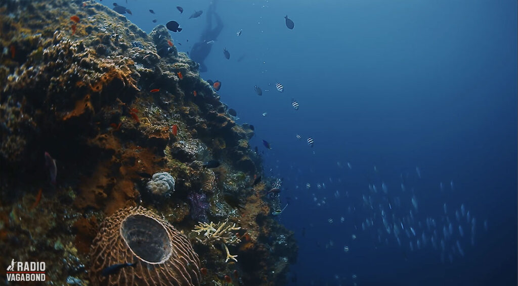 USAT Liberty Shipwreck